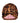 Turban Shower Cap - Safari